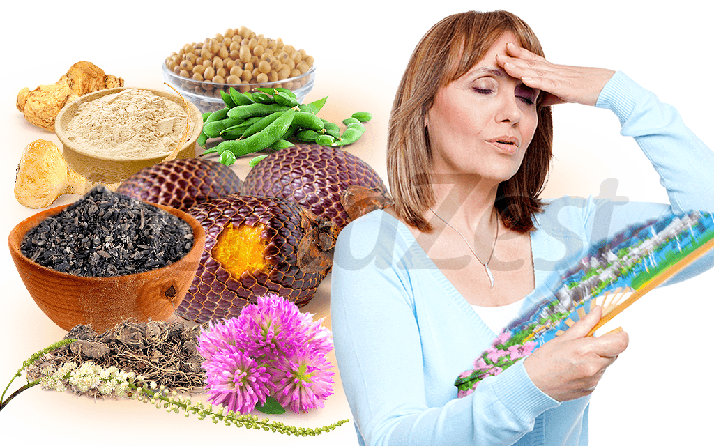 Top 5 Herbs to Relieve Menopause Symptoms – HerbaZest