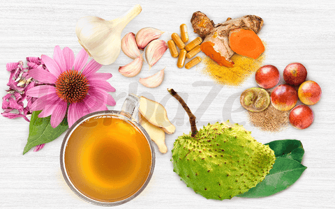 Top 6 Herbs to Boost Immunity