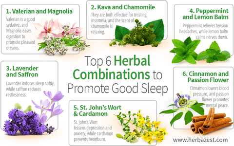 Top 6 Herbal Combinations to Promote Good Sleep