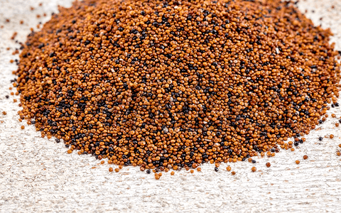 What is Kaniwa & How to Include It In Your Diet