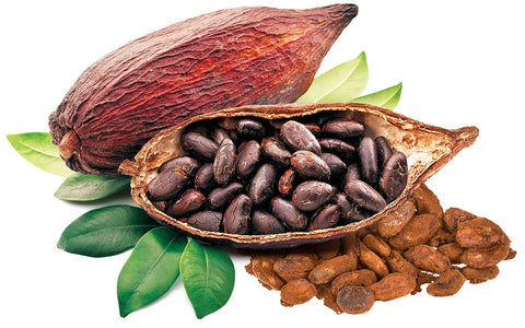 Cacao