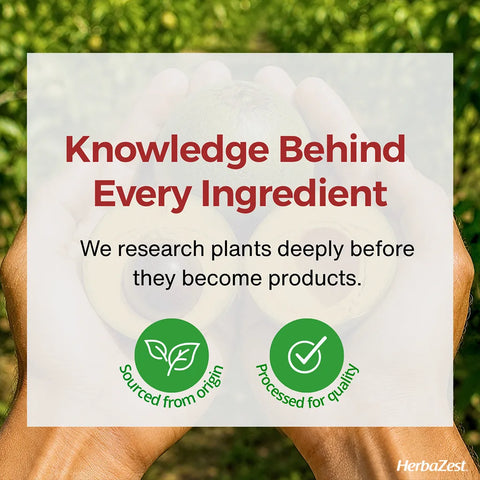 Lucuma Powder