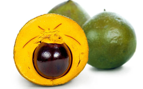 Lucuma