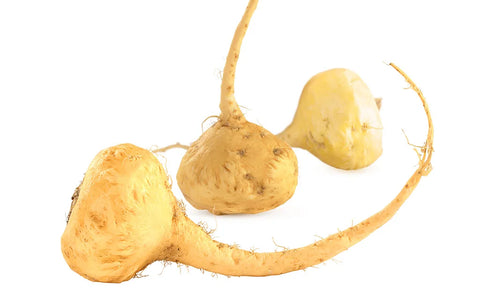 Maca